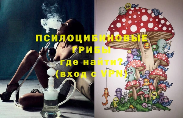 амф Аркадак