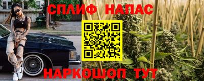 молекула духа Донецк