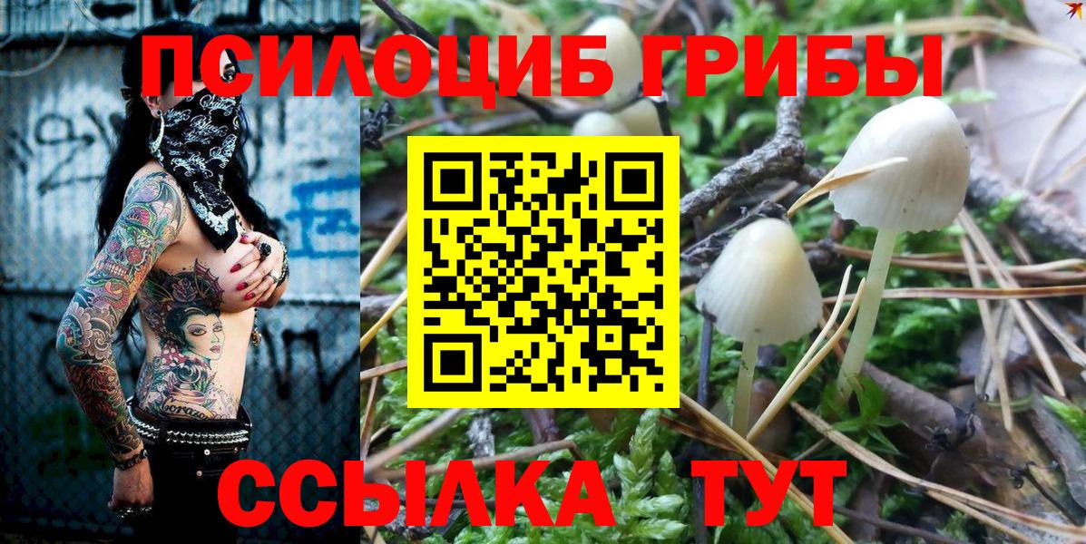 Галлюциногенные грибы мухоморы  Вход с VPN  Минусинск 